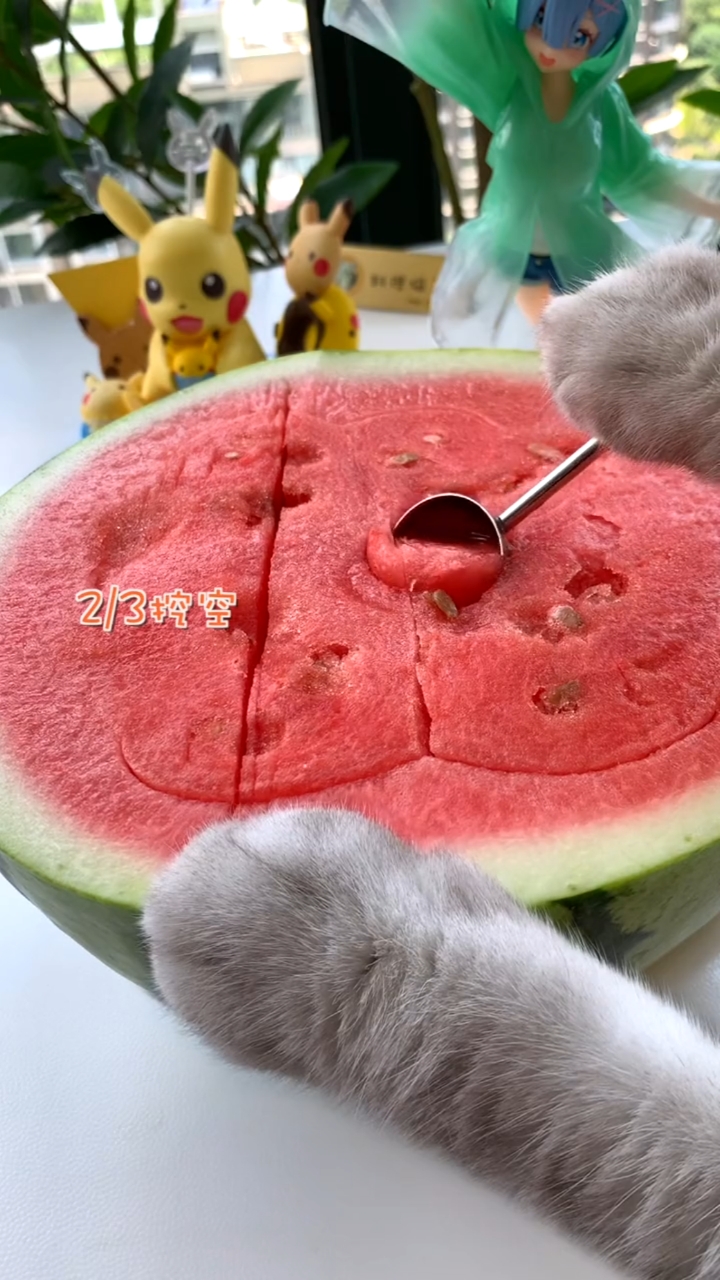 猫王:西瓜配酒越喝越有,冰沙足够快乐管够