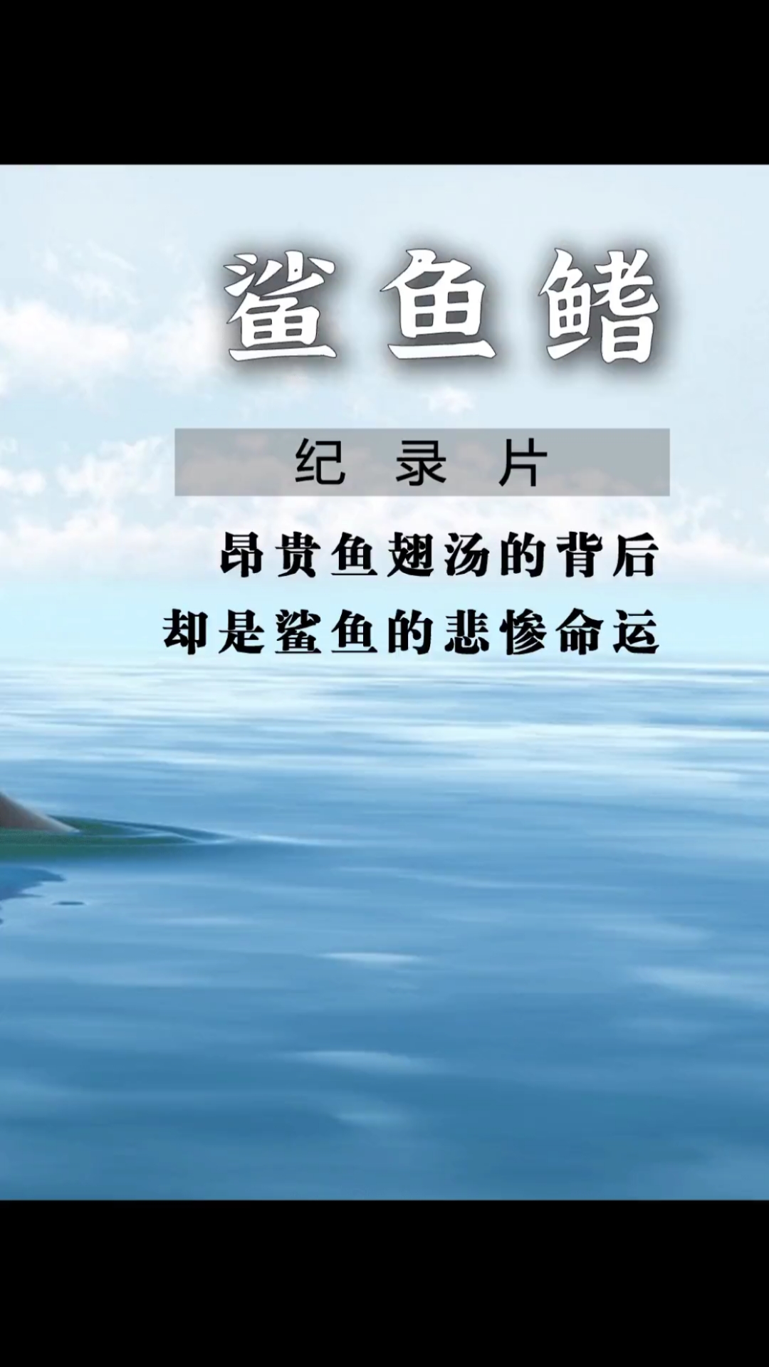 #好看电影#如果没了鲨鱼,这个世界会变成什么样子?