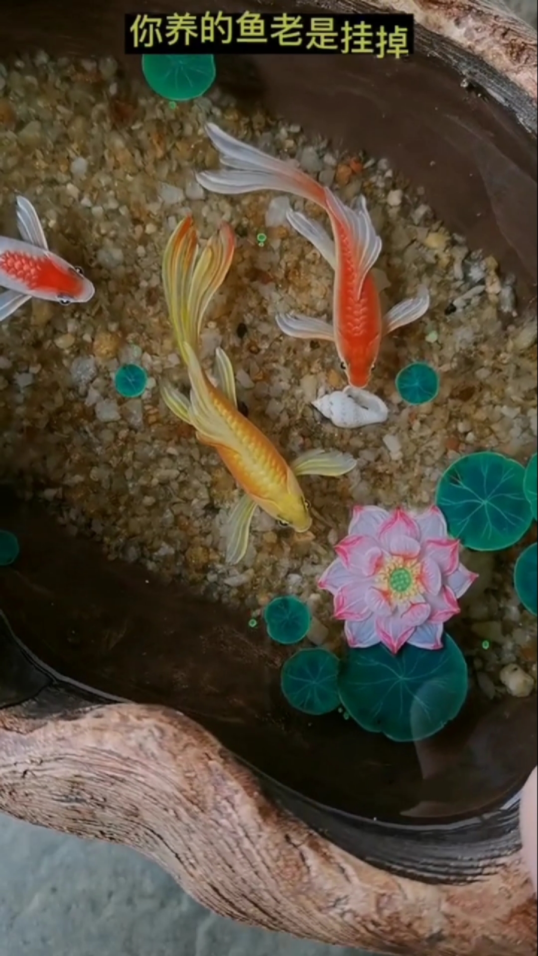 #树脂画#养不死的鱼?
