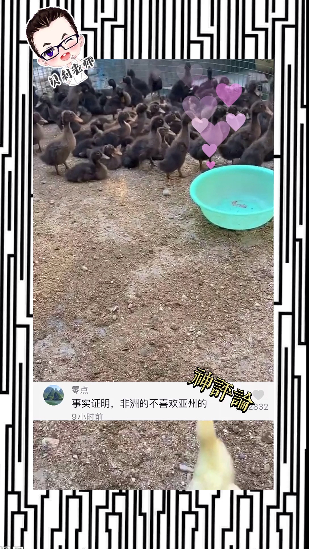 事实证明小黄鸭被小黑鸭孤立了
