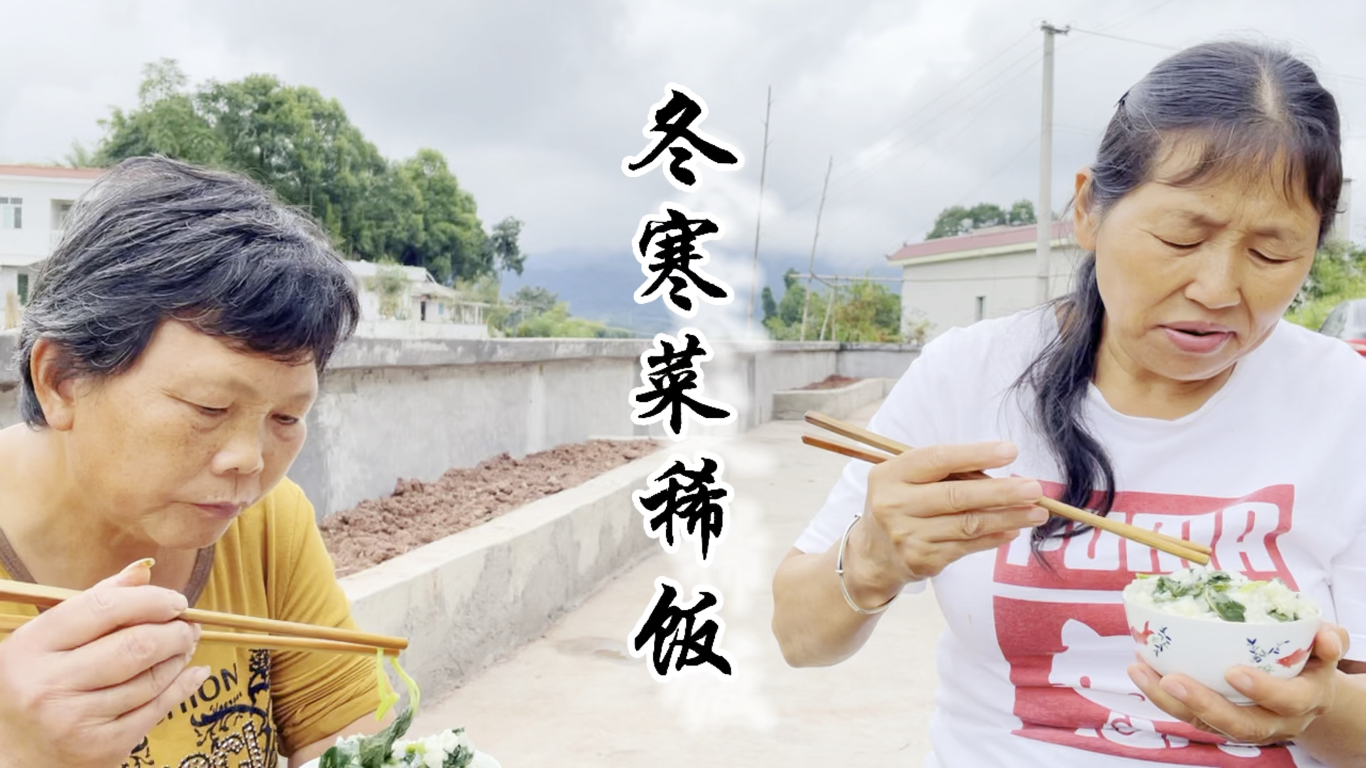 #家乡特色美食#舂谷持作饭,采葵持作羹。葵即冬寒菜,味道极美,最适宜清煮#美食#冬寒菜