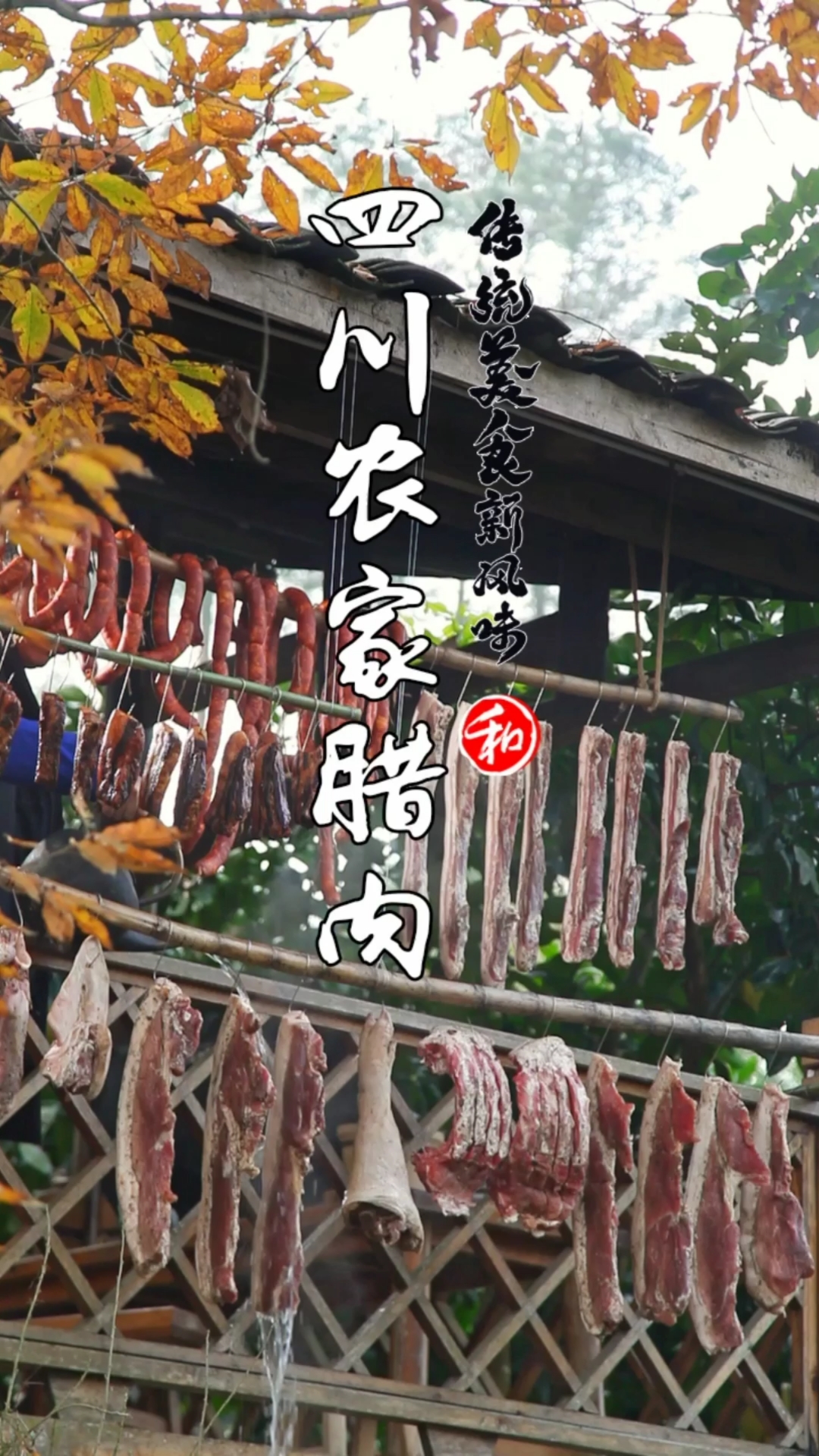 #风味人间#四川腊肉传统做法来了!你家今年做了没有?快过年了赶紧动起来哦!记到用香枝熏哦!