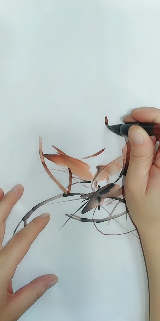 #中国画#画虾这样的颜色您怎么看?