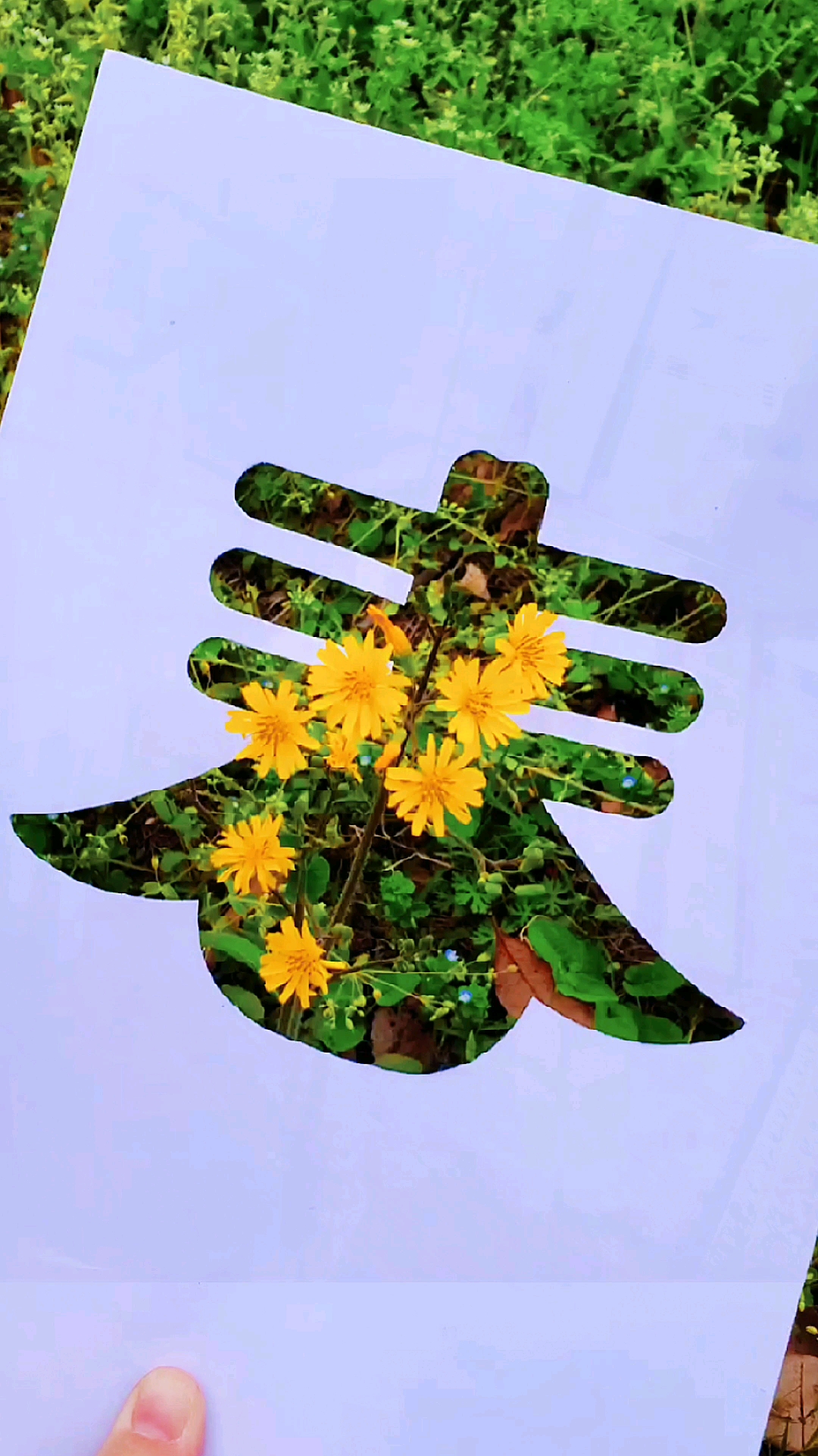 36PCS树叶花卉蝴蝶镂空喷绘画模板 热带植物花卉树叶镂空画画模板-阿里巴巴