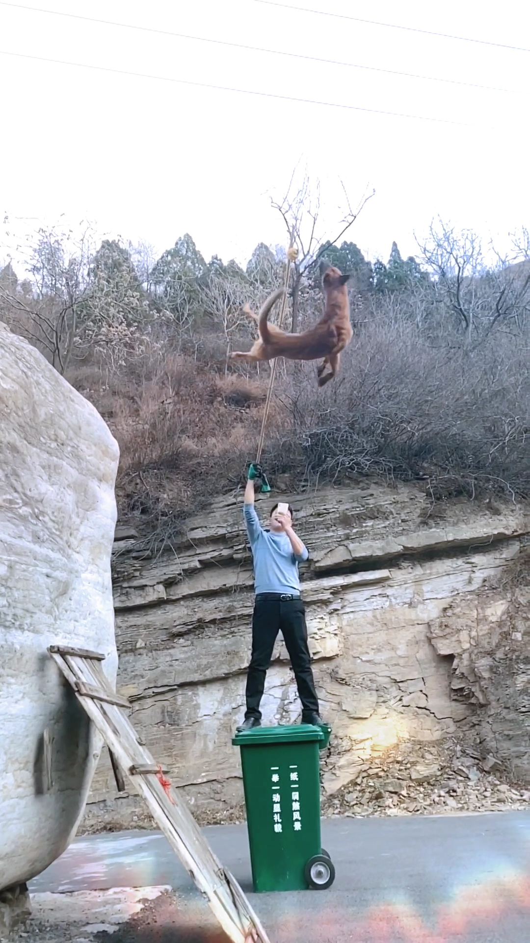 石总携爱犬云丘山大石头秀飞,飞出新气象