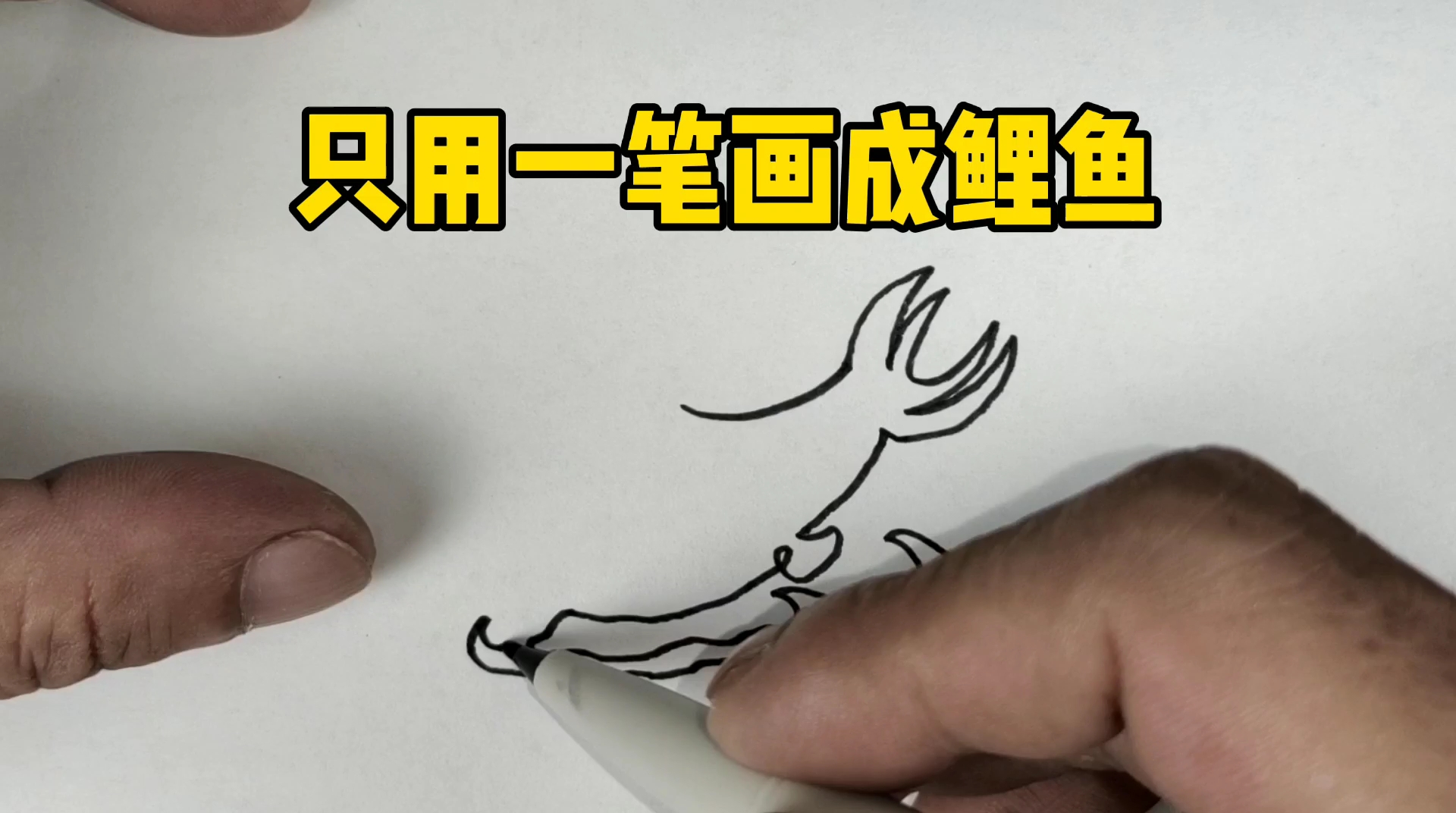 #简笔画#一笔画成鲤鱼,看看是如何做到的