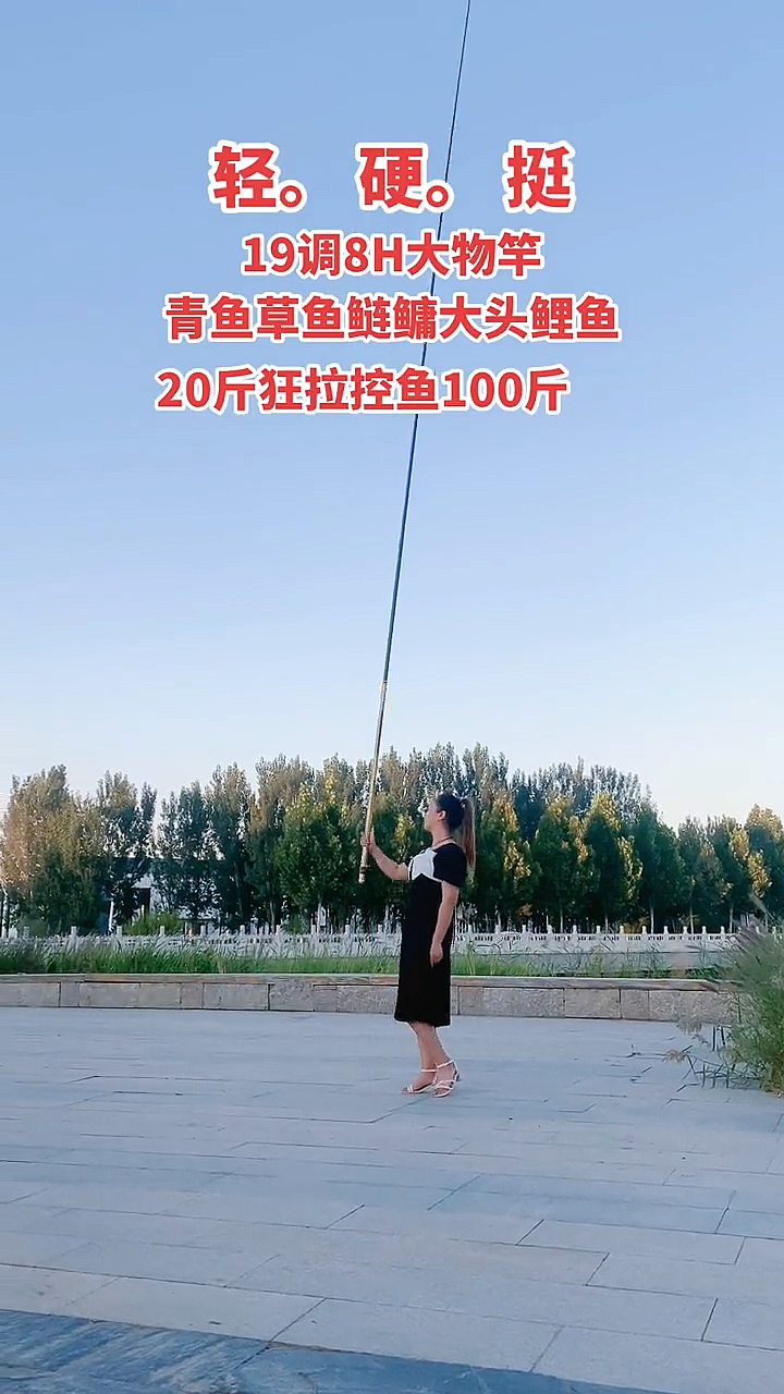 高碳大物青鱼竿