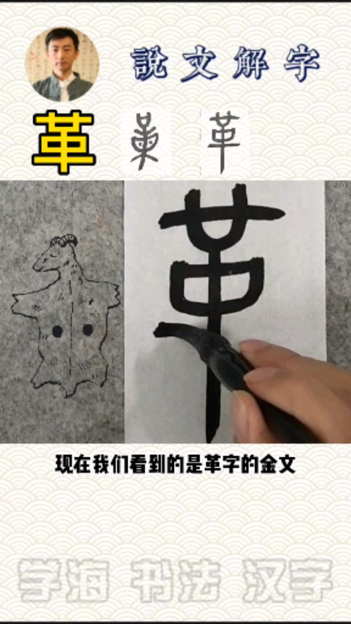 #说文解字#说文解字~革