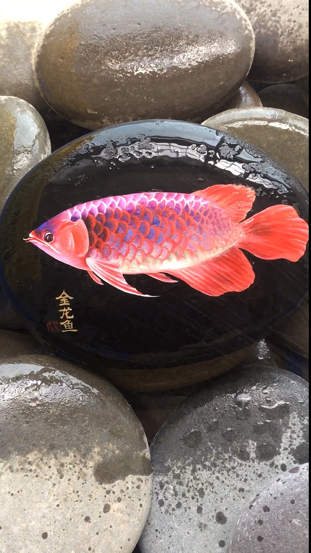 画一条鱼,感谢支持