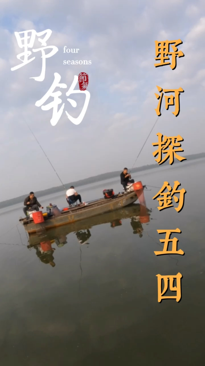 #钓鱼#这里的鱼是真的多。钓鱼人也是多