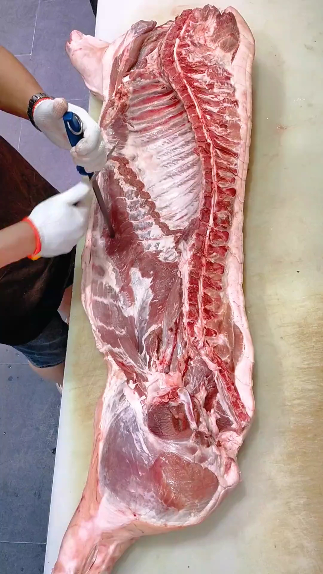 #猪肉#五花肉分解的详细过程