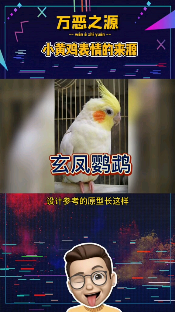#表情包#你们要的小黄鸡表情包来啦