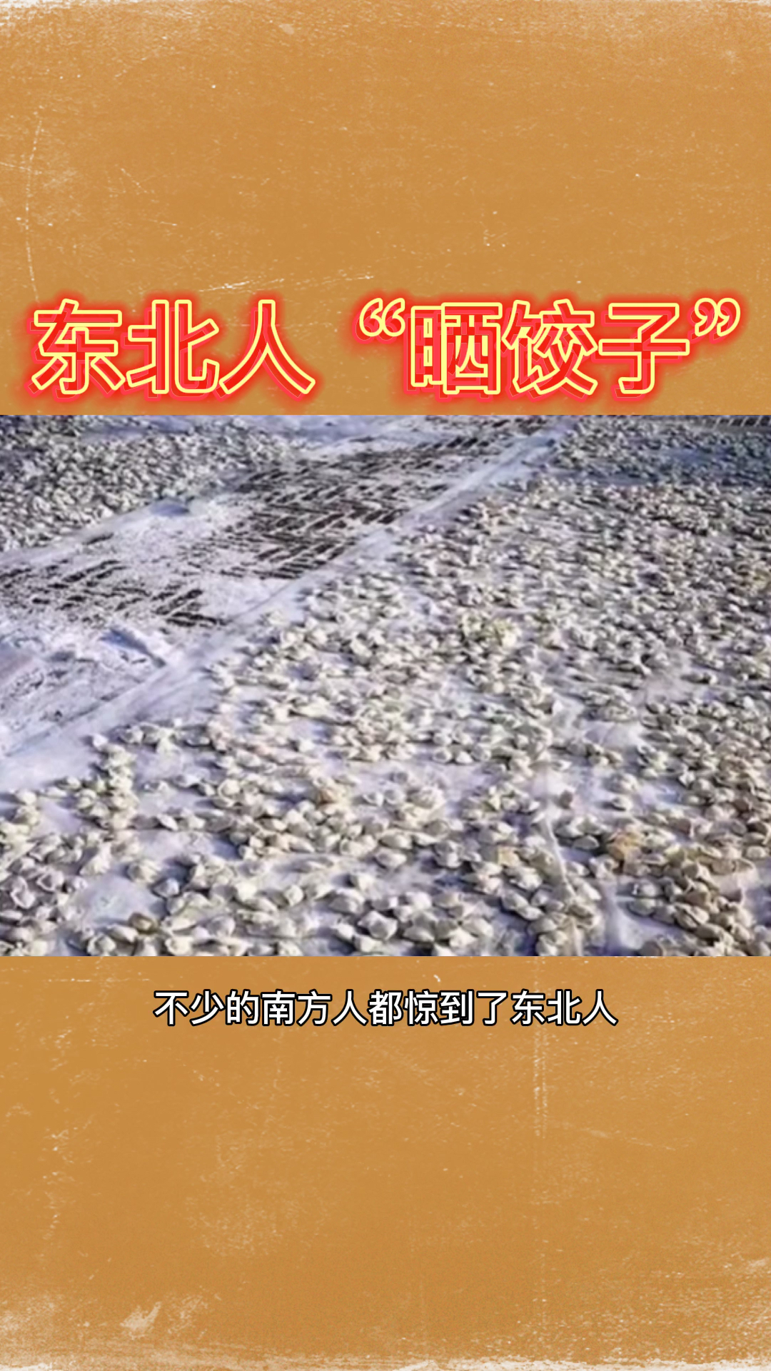 #奇闻趣事抢先看#东北人晒饺子