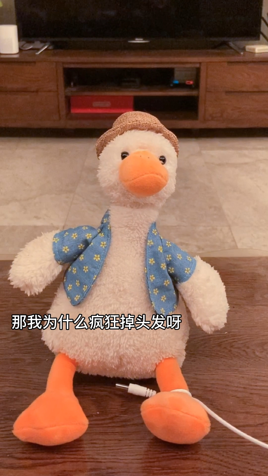#孟菜鸭#知道你为什么掉头发了吧?