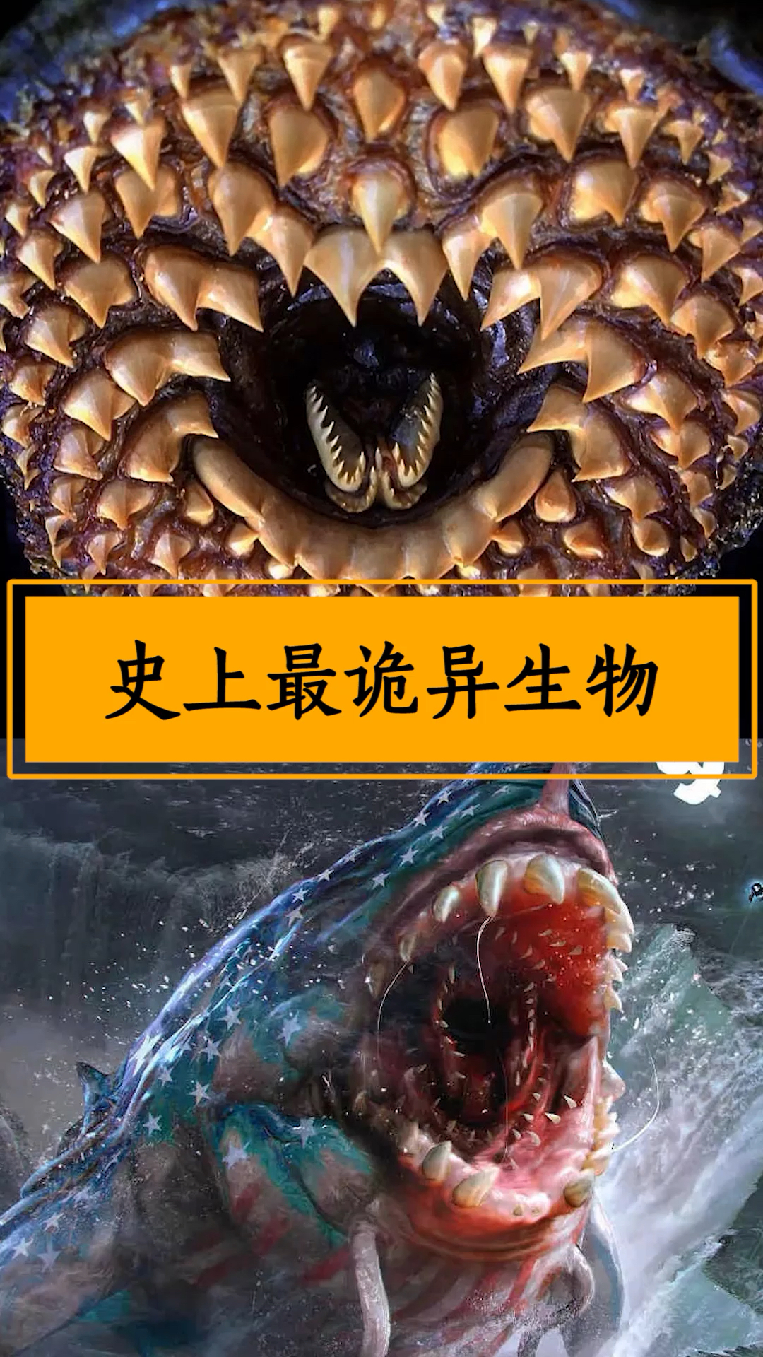 被称为嗜血恶魔的七鳃鳗,其外形太过诡异,密恐者的噩梦!