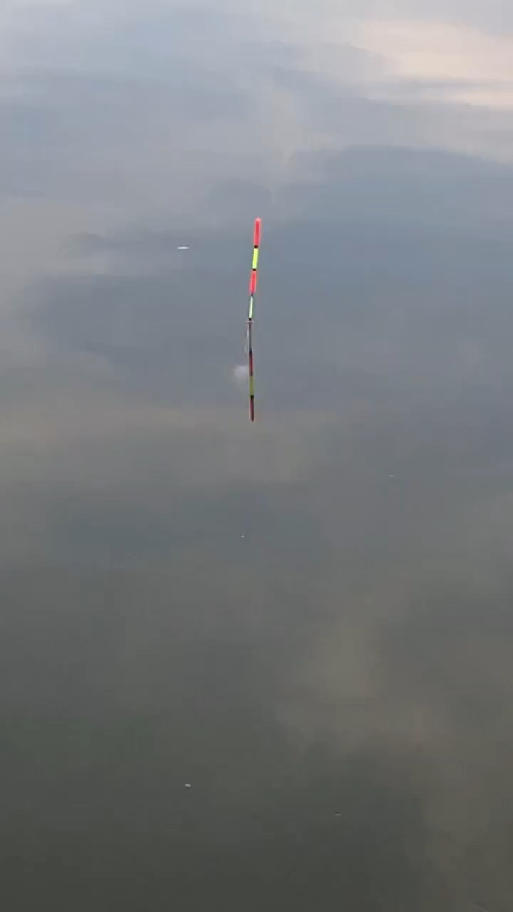 #钓鱼秘籍#钓鱼高手是如何看水色,用什么饵,钓什么鱼的!