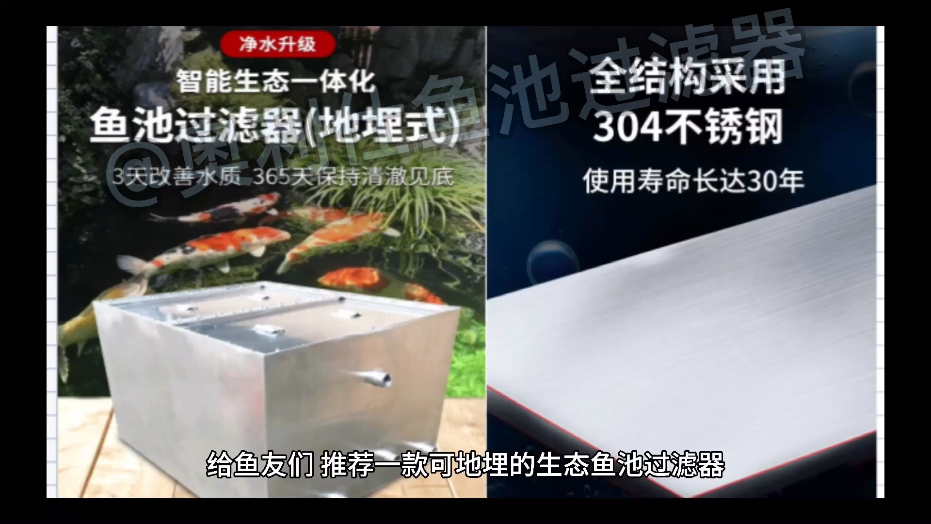 #锦鲤鱼池过滤系统#一款可地埋的生态鱼池过滤器