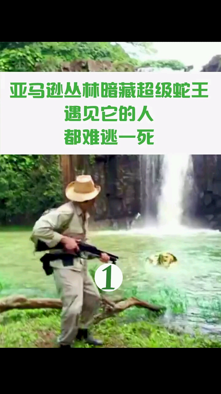 #动物世界#大蛇