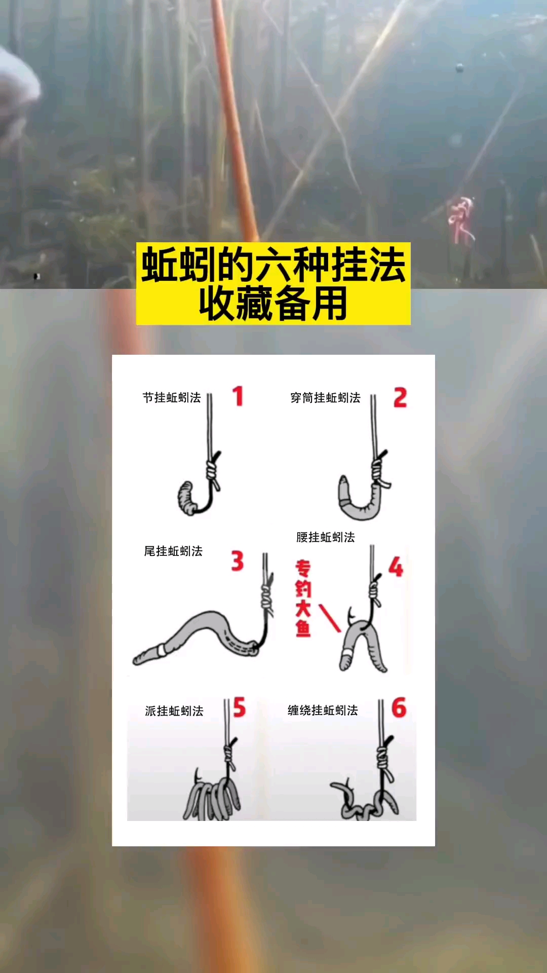 #钓鱼#蚯蚓的正确挂法,钓友们千万别挂错了呀!