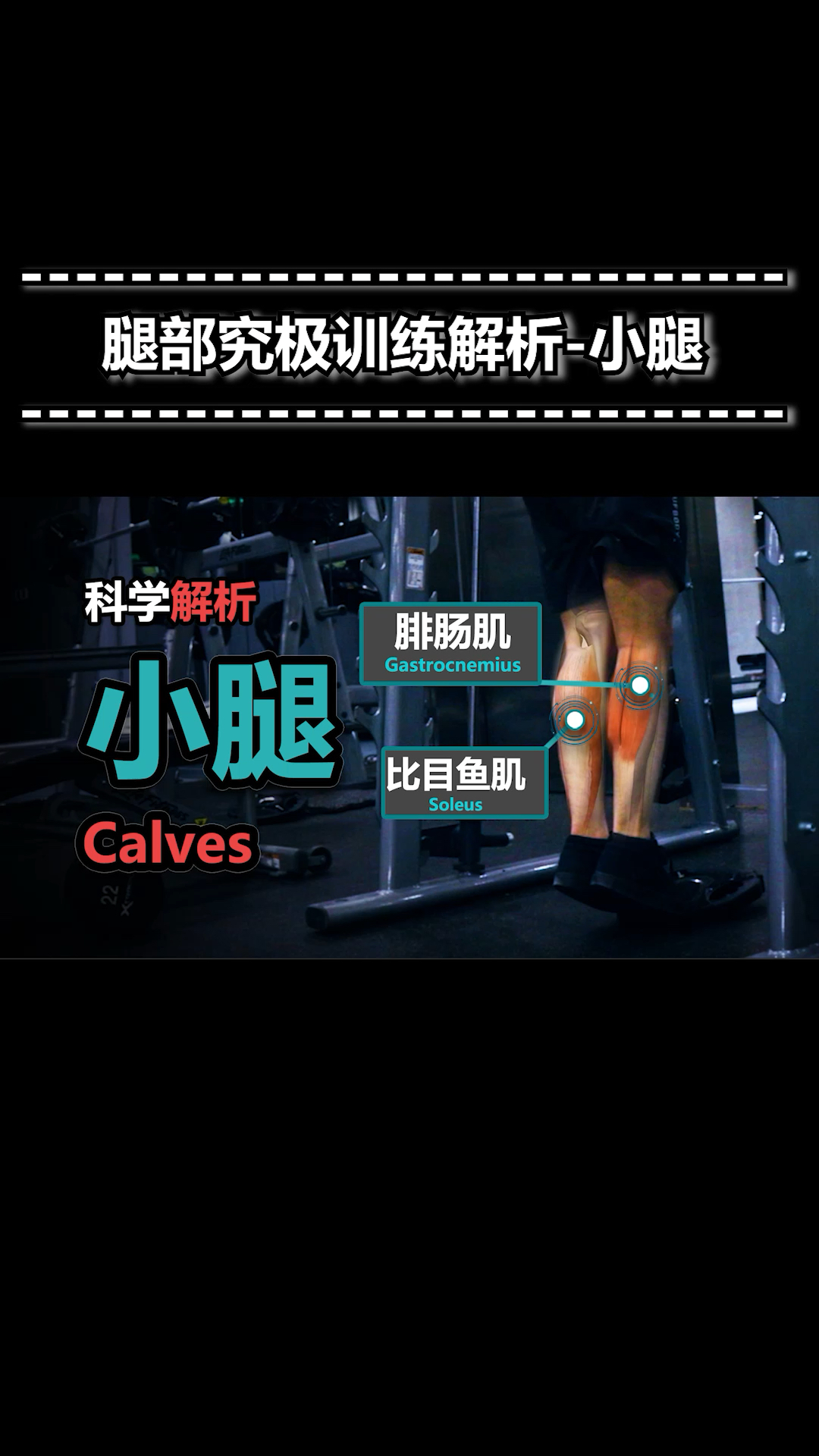 如何训练小腿