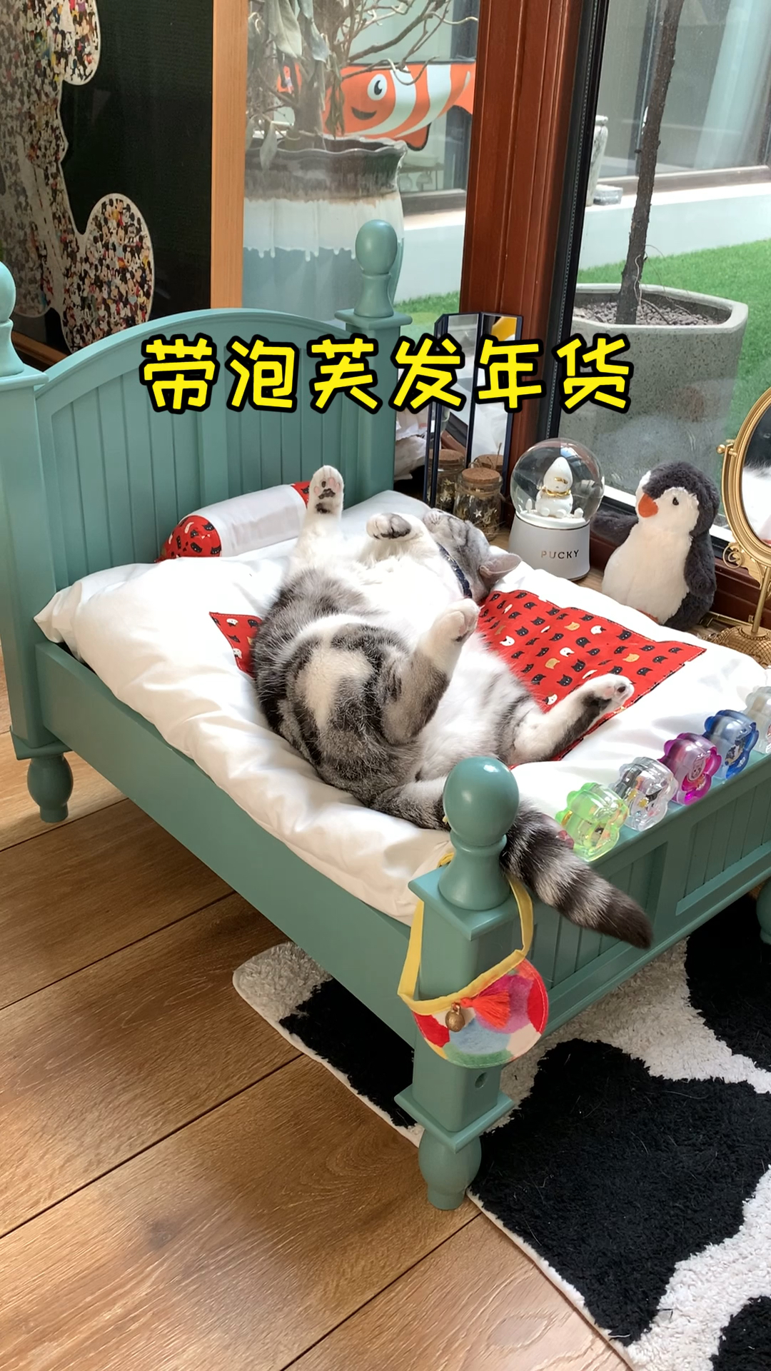 #家有萌宠#猫老板给公司的小伙伴们准备了年货，祝大家都开开心心，红红火火