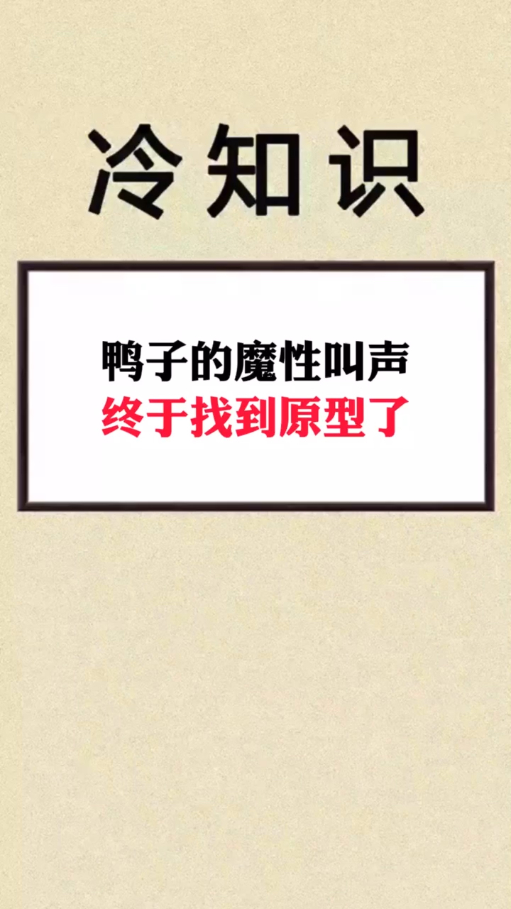 #搞笑视频#鸭子的魔性笑声