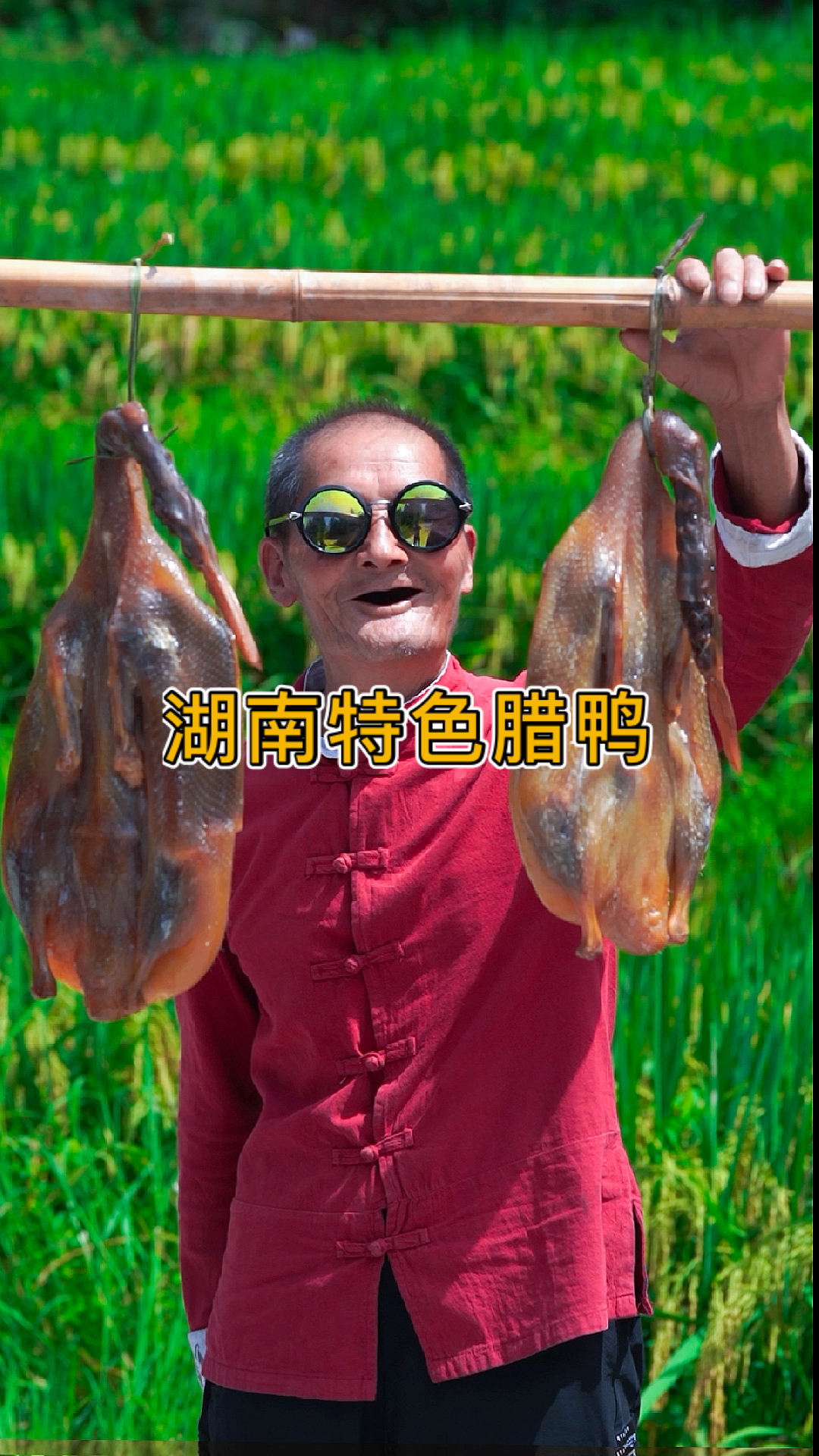 #家乡特色美食#湖南特色腊鸭,吃起来香气扑鼻,你们爱了吗?