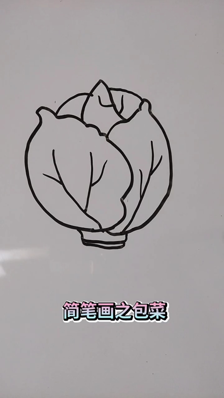 #画画原来如此简单#简笔画之包菜!绘画可以丰富一个人的生活,提高孩子的想象力、观察力和记忆
