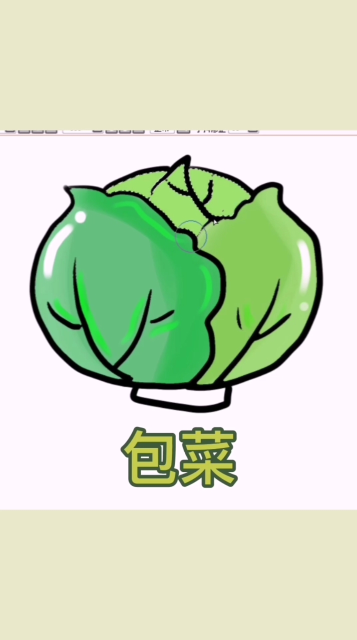 包菜