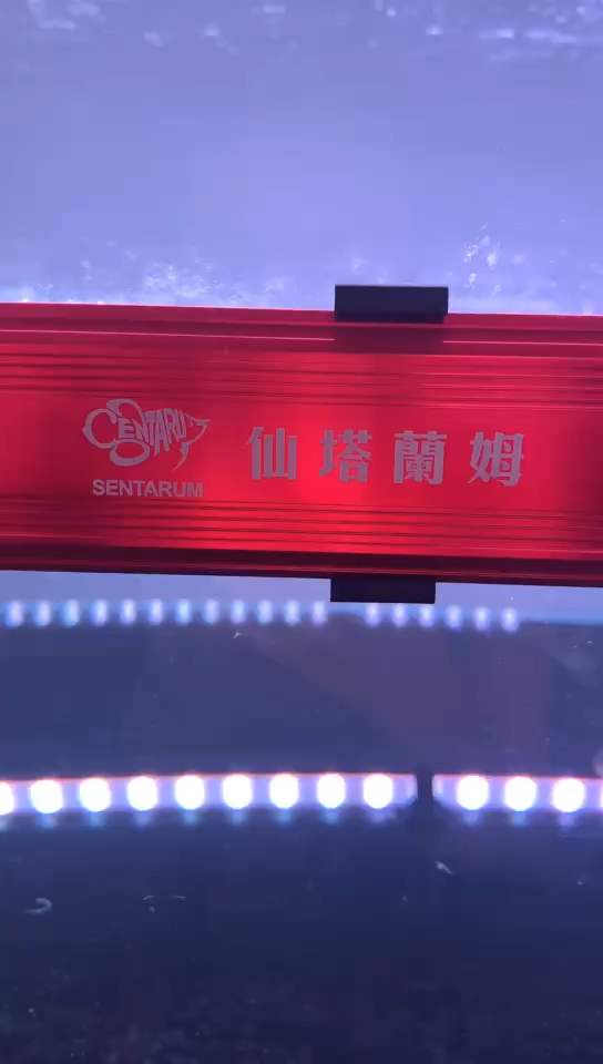 仙塔兰姆龙鱼最美灯光代理商尺寸:1米1.2米1.5米1.8