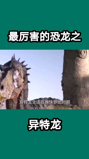 #恐龙#