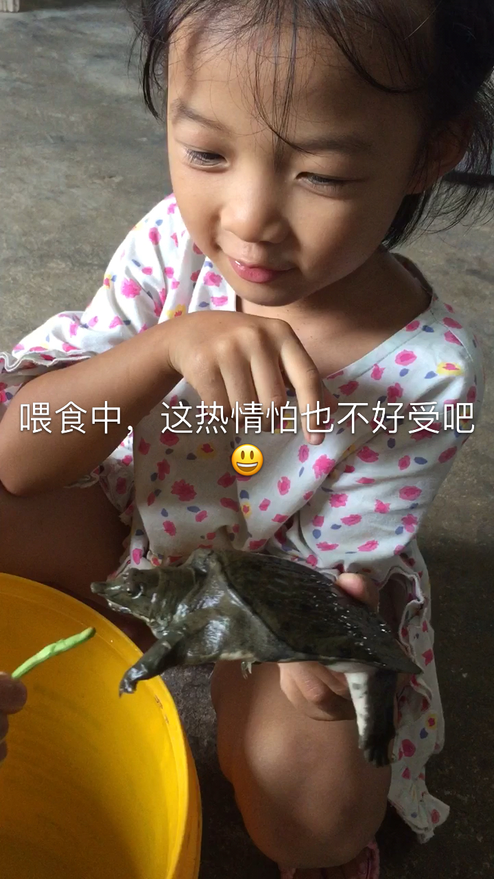 爷爷送来一个小甲鱼,姐妹俩胆子也太大了点。