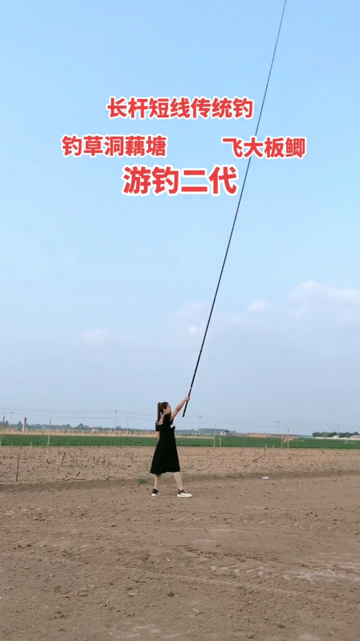 高碳大炮鱼竿钓草洞鲫鱼鲤鱼