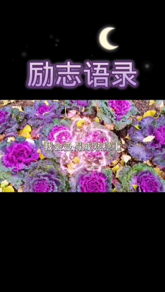 #励志正能量#经典励志语录