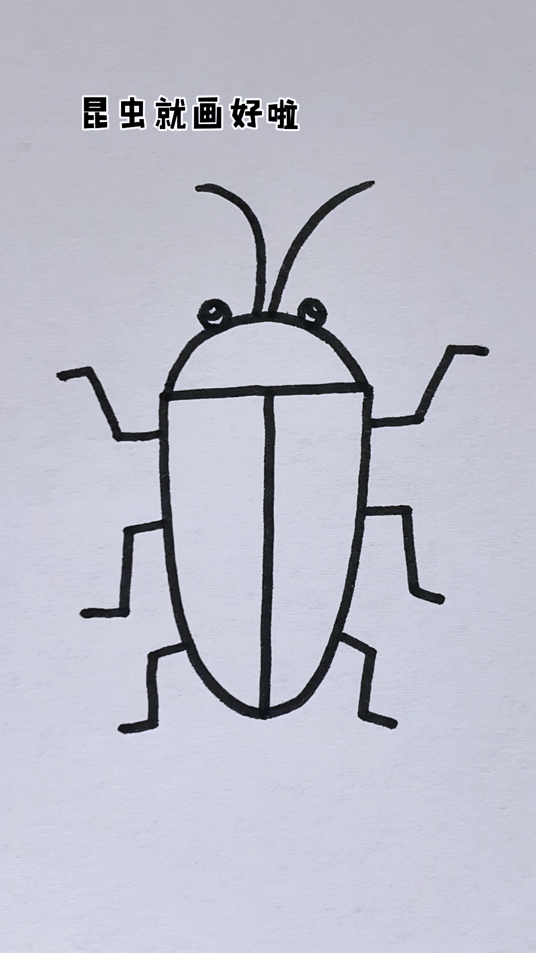 #简笔画#昆虫简笔画