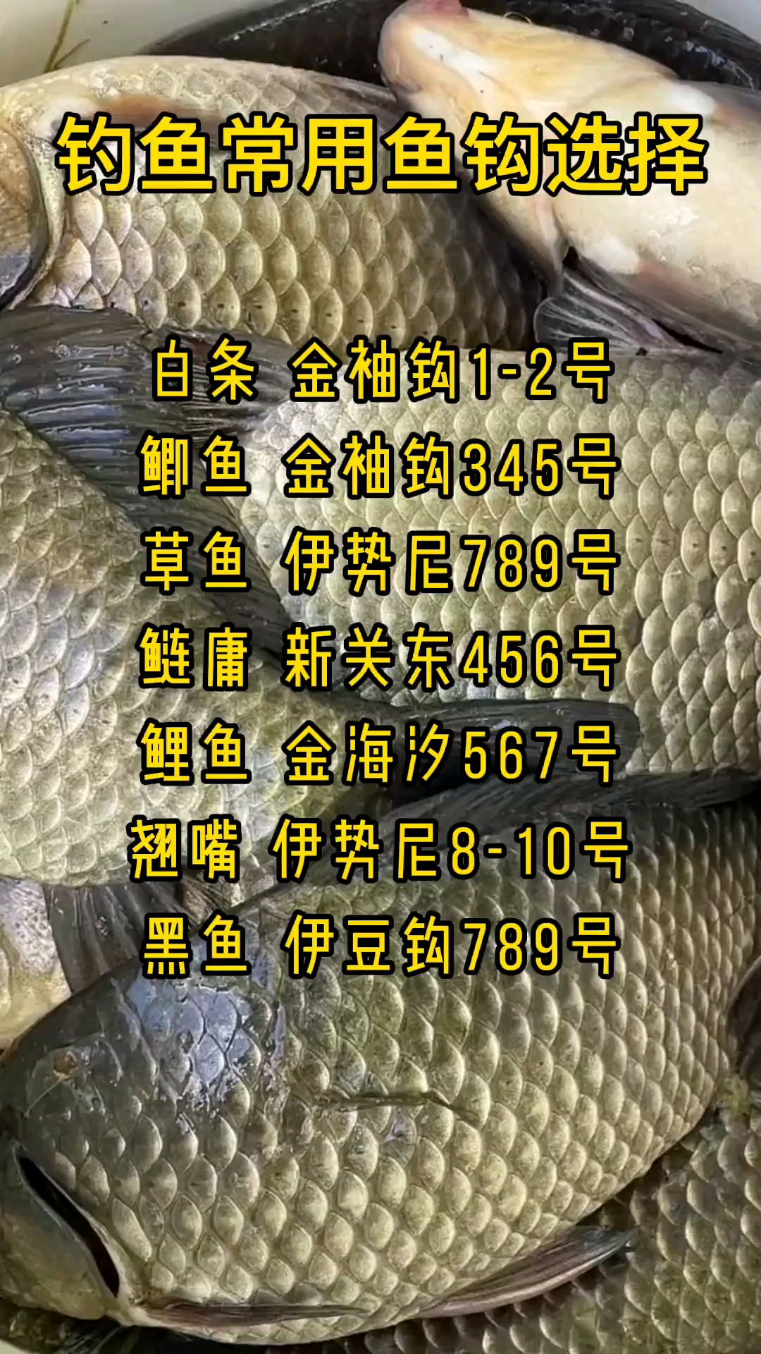 #钓鱼#钓鱼常用鱼钩选择,钓友们知道多少