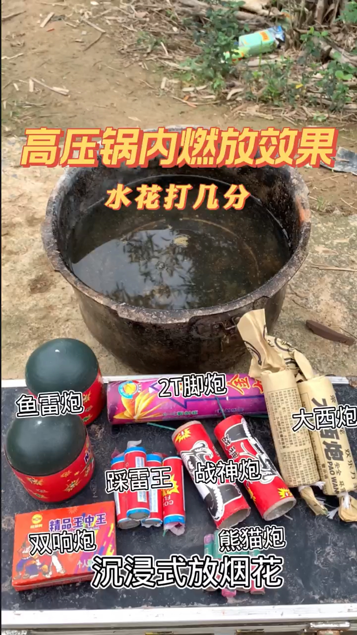 #放鞭炮#鞭炮VS高压锅