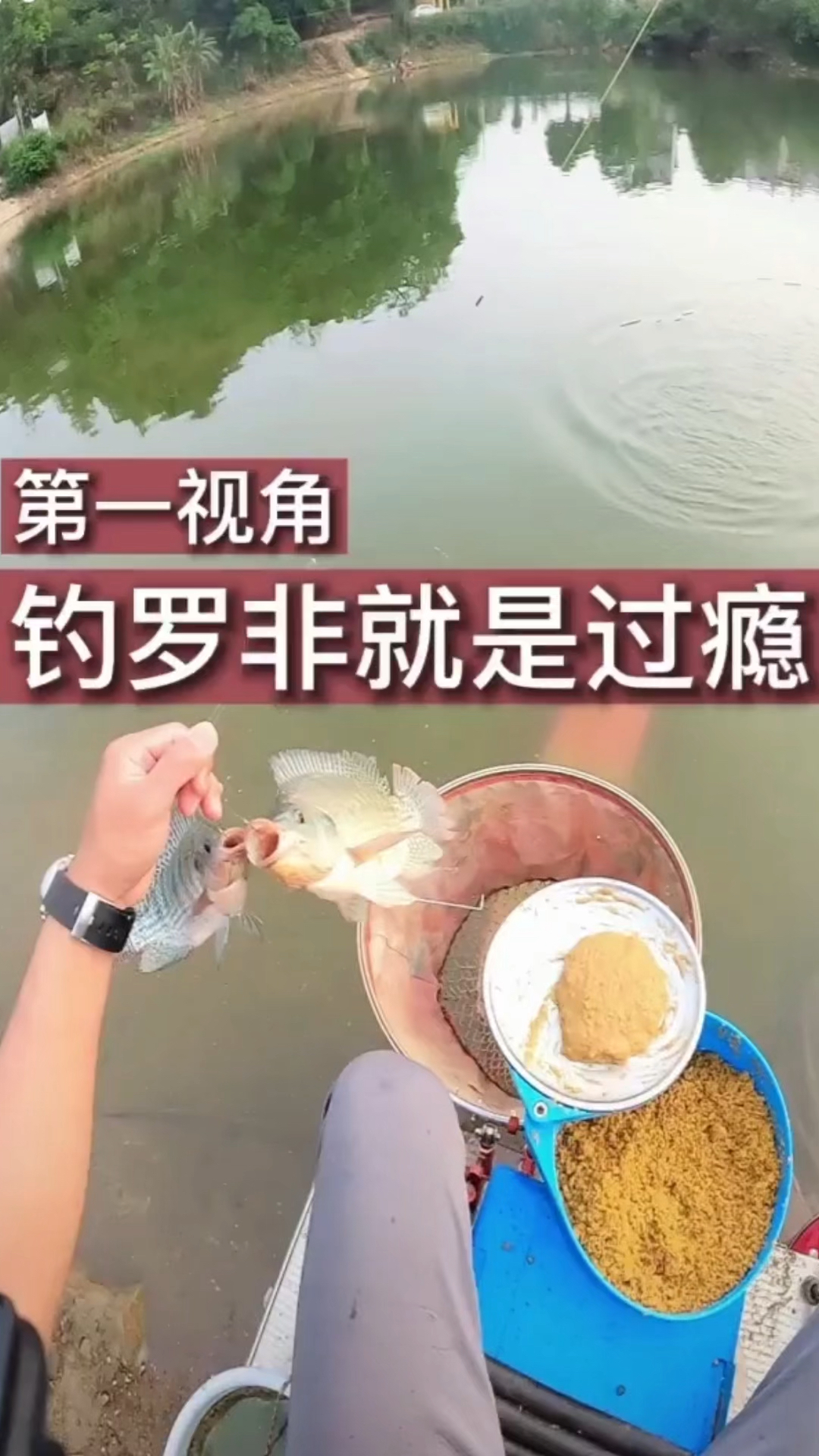 钓罗非鱼第一视角