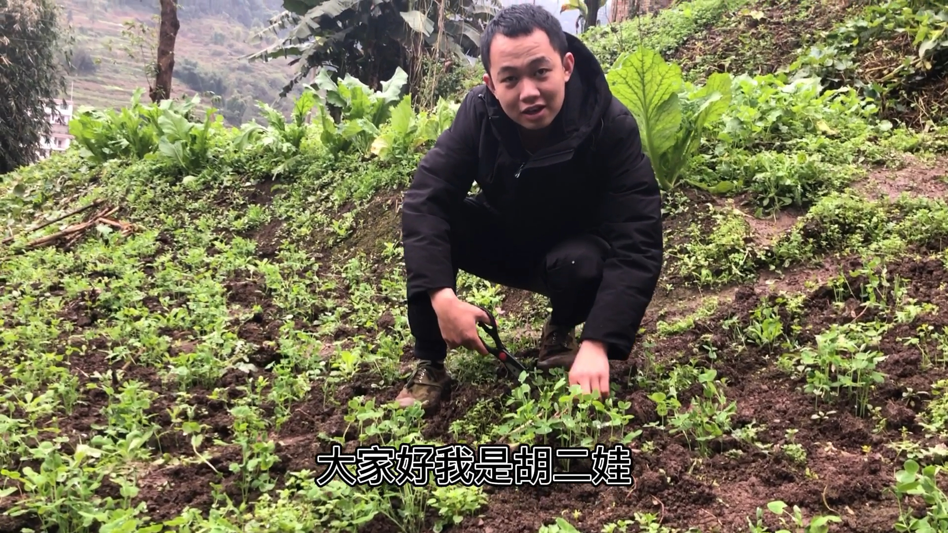 #美食#此视频软文你们配