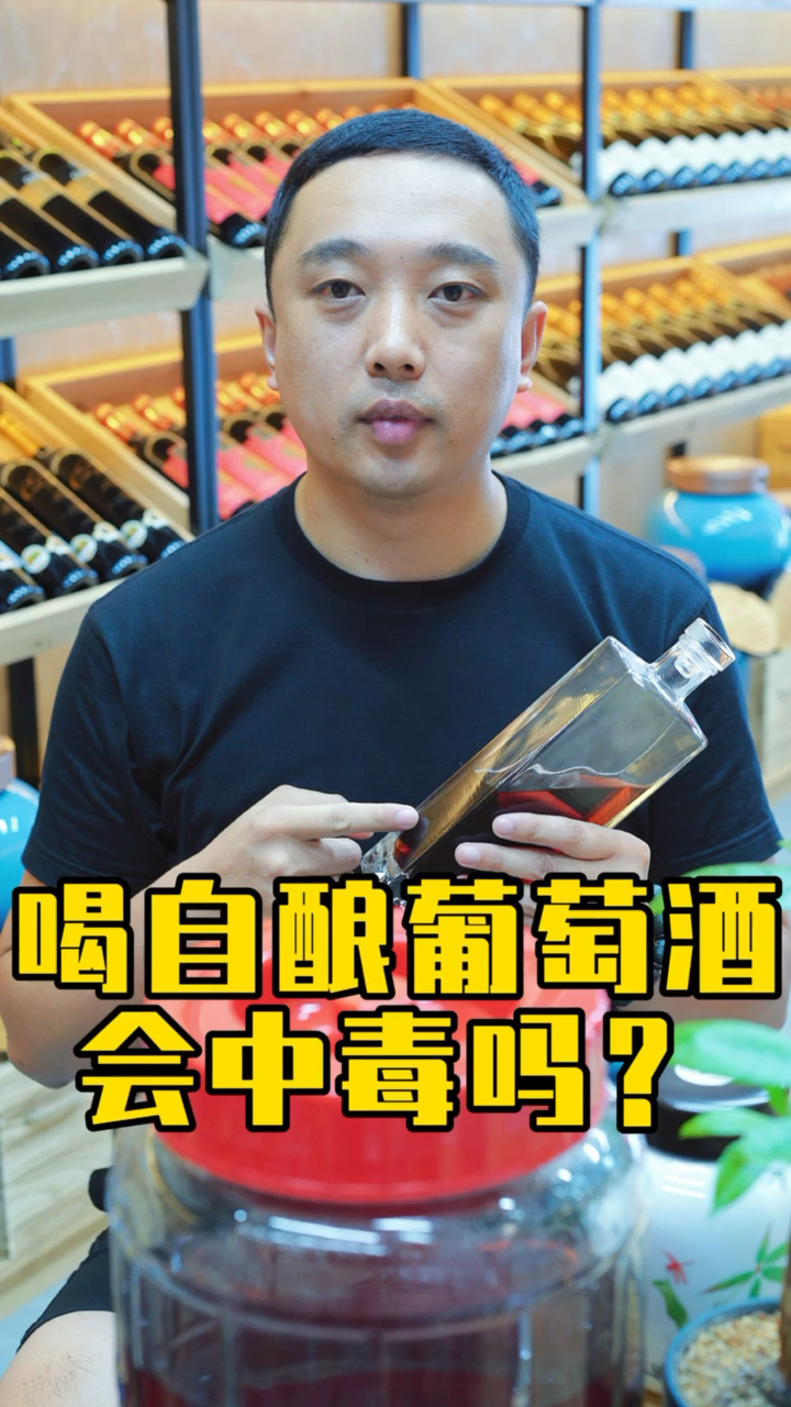 #自制葡萄酒#喝自酿葡萄酒会中毒吗?我们自制葡萄酒到底动了谁的奶酪!