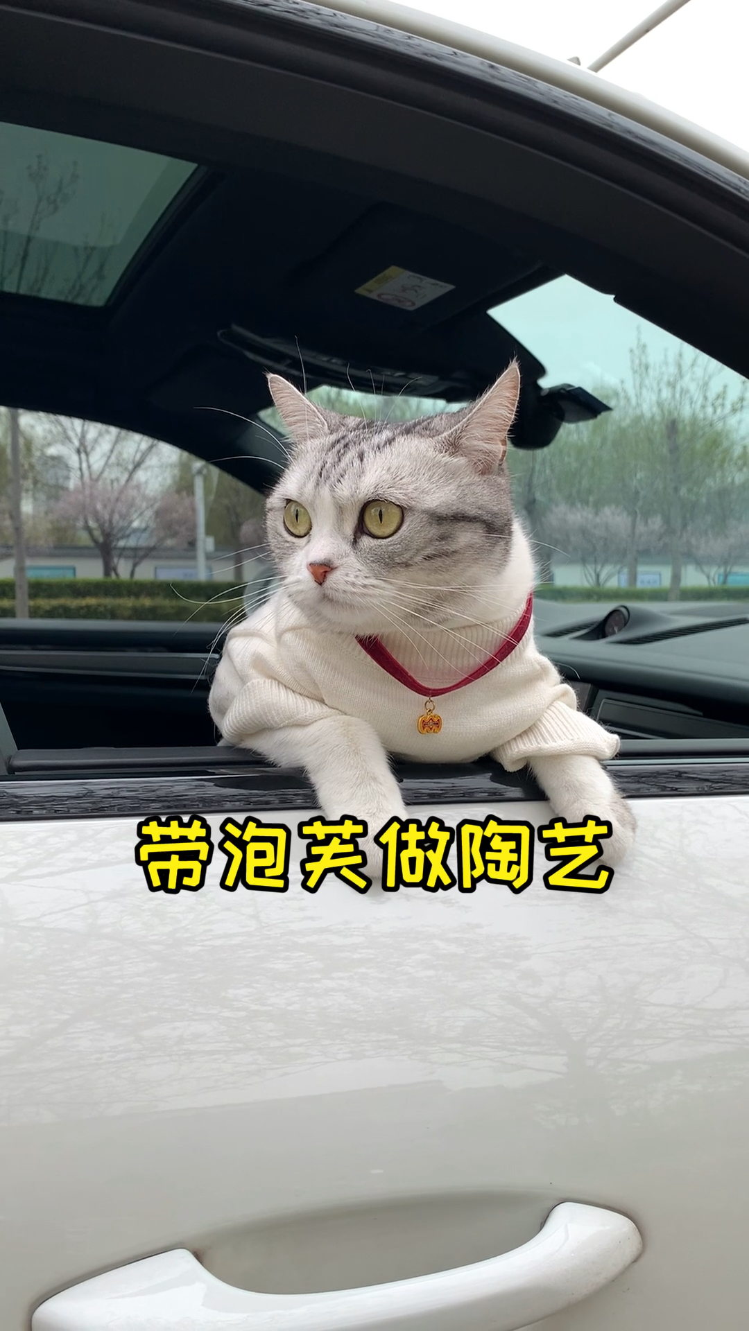 #猫咪日记#第一次给泡芙做猫碗，哈哈哈搞了一身泥