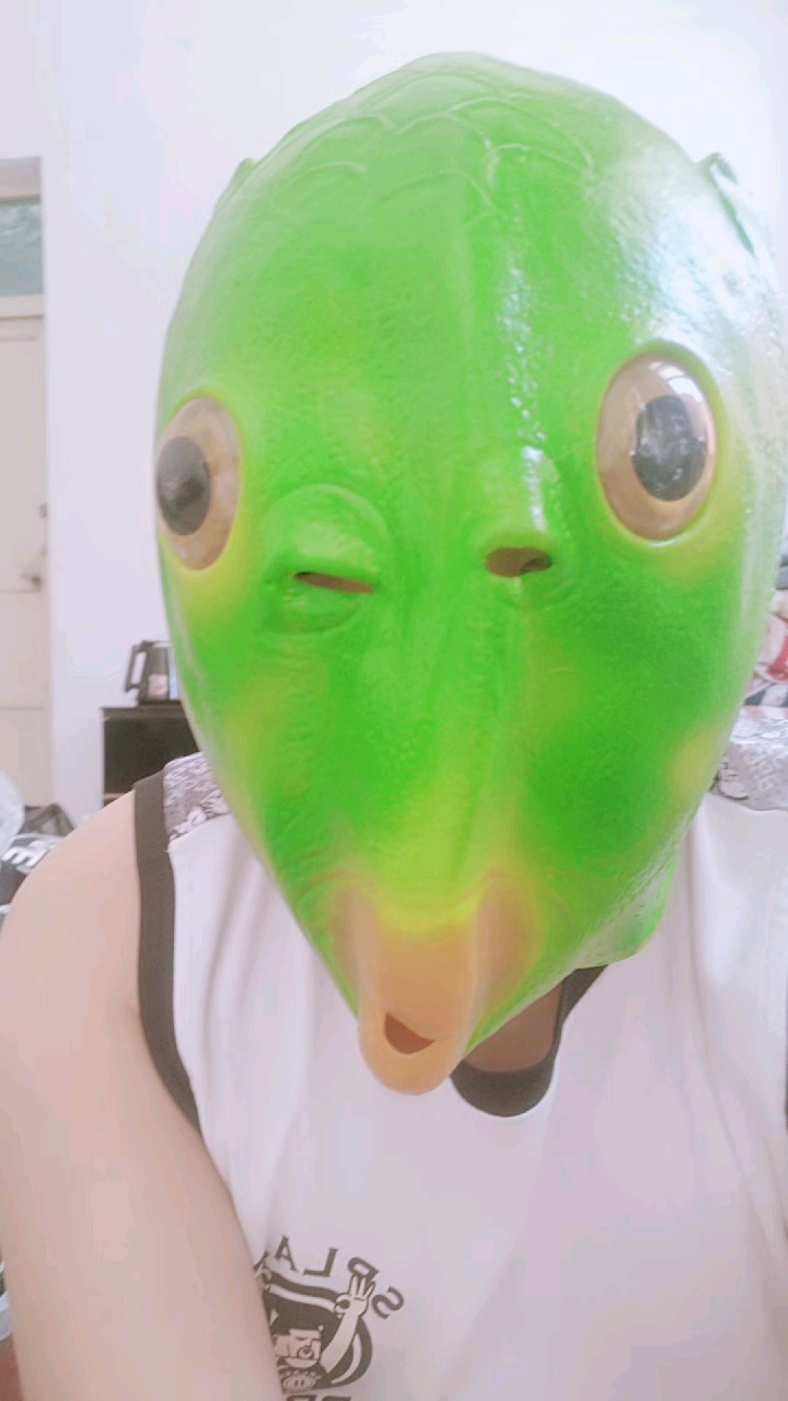兄弟们,绿头鱼来了