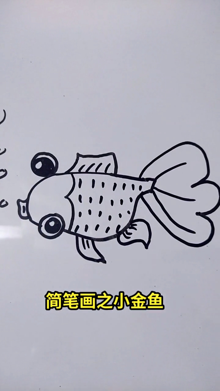 #画画原来如此简单#简笔画之小金鱼