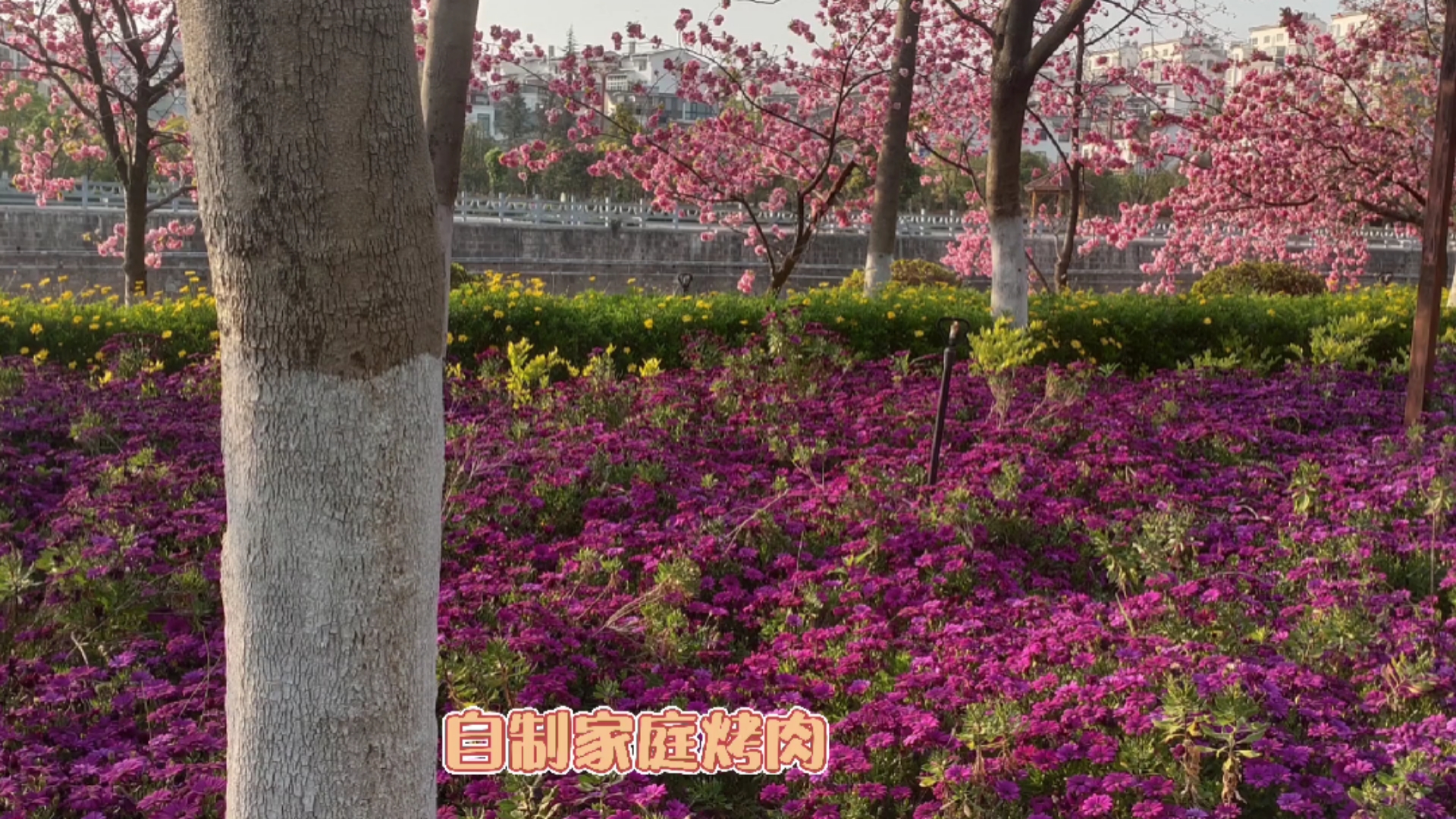 小玉云南家常菜,自制家庭烤肉