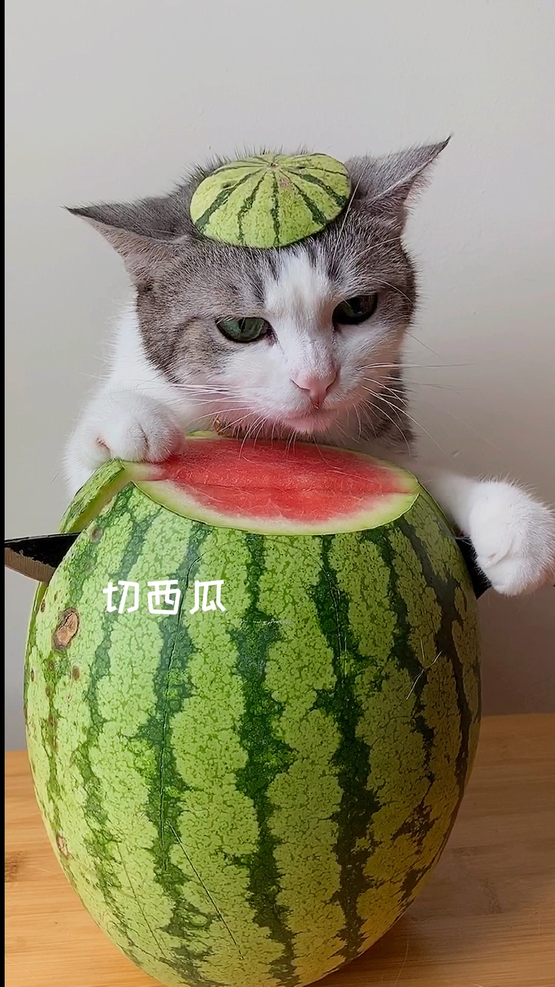 #自制美食#沙漠西瓜果盘你见过吗？西瓜还可以这么做哦！