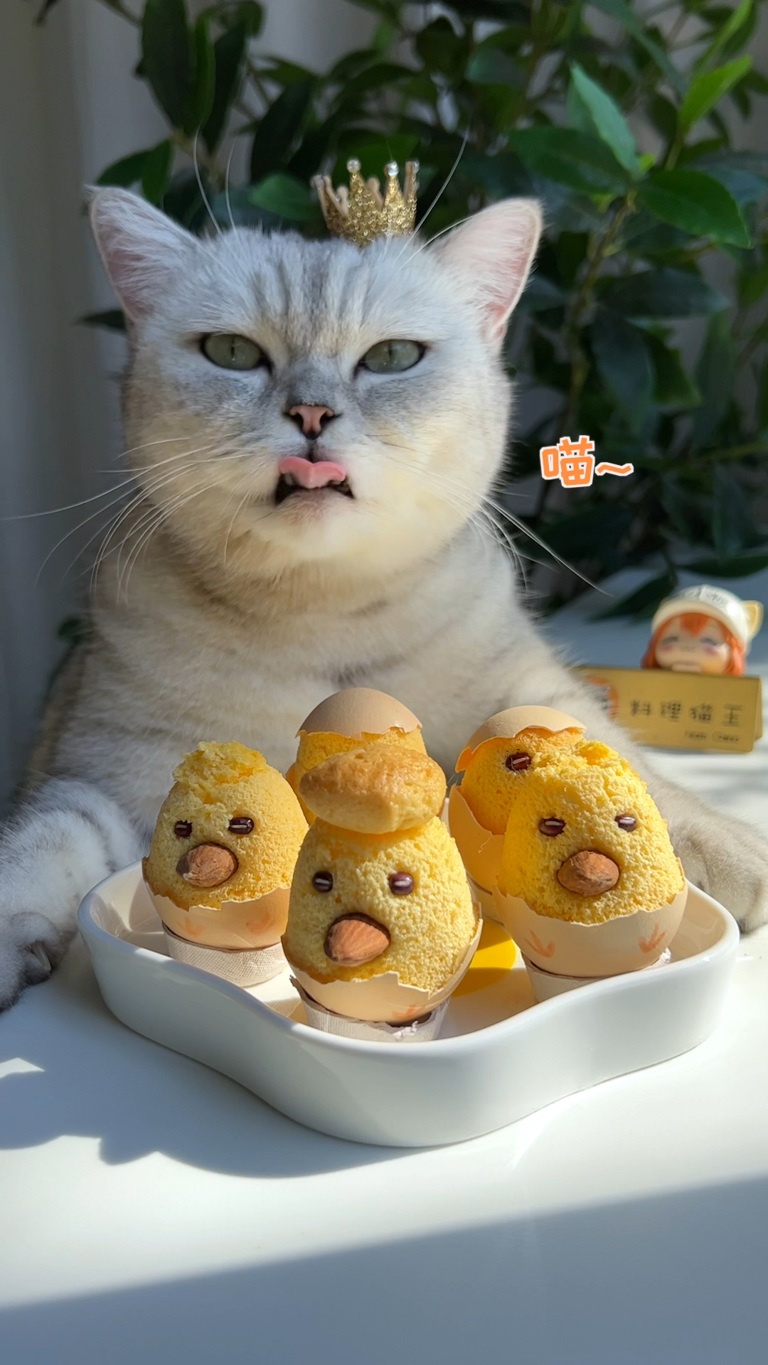 #猫咪日记#猫咪用蛋壳做小鸡蛋糕，这造型长得像谁？