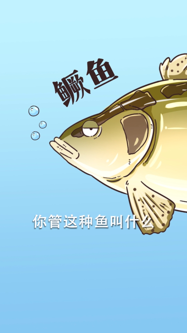 #美食#鳜鱼能想到最浪漫的事，就是和你一起……50秒揭秘