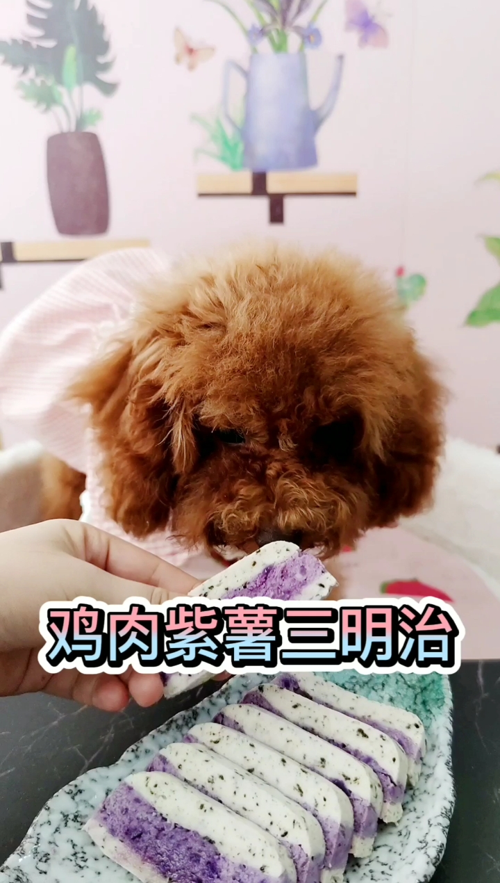 #狗#每天最开心的事就是给家里的狗狗做好吃的然后看它大口大口的吃掉