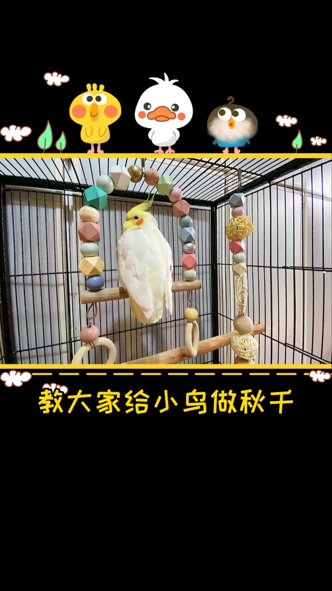 #家有萌宠#第一次给大宝做秋千!是大宝的圣诞礼物哦!快点动手给自家的宝贝做礼物吧!