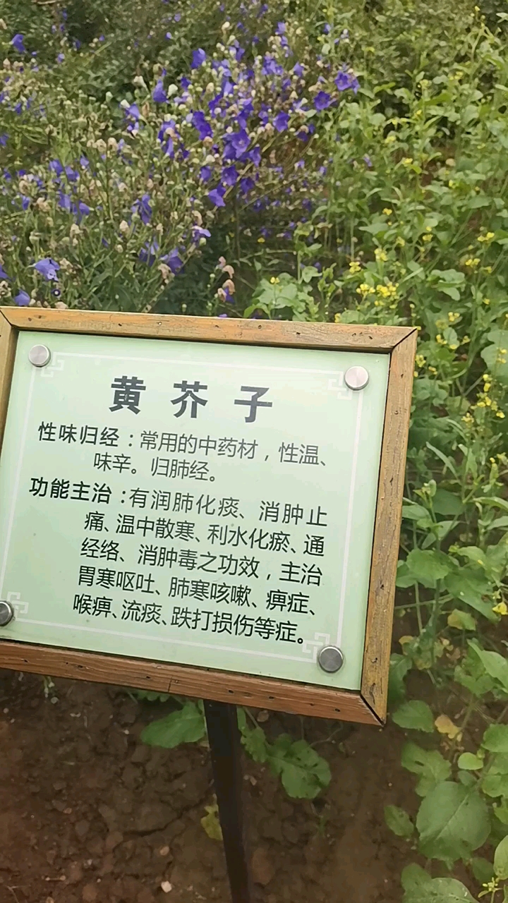 分享视频